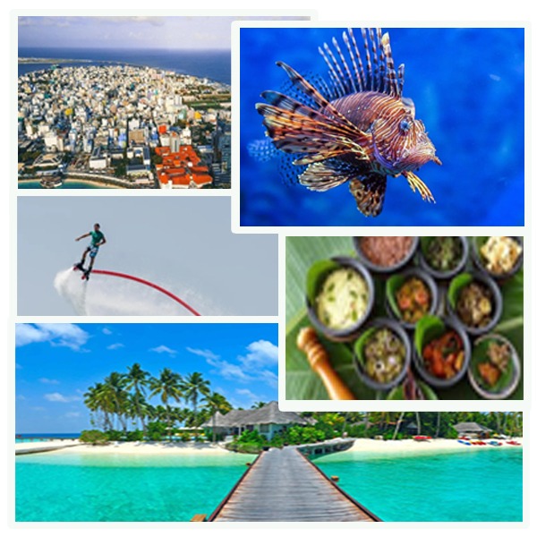 India Maldives Business and Cultural Council - About Maldives 